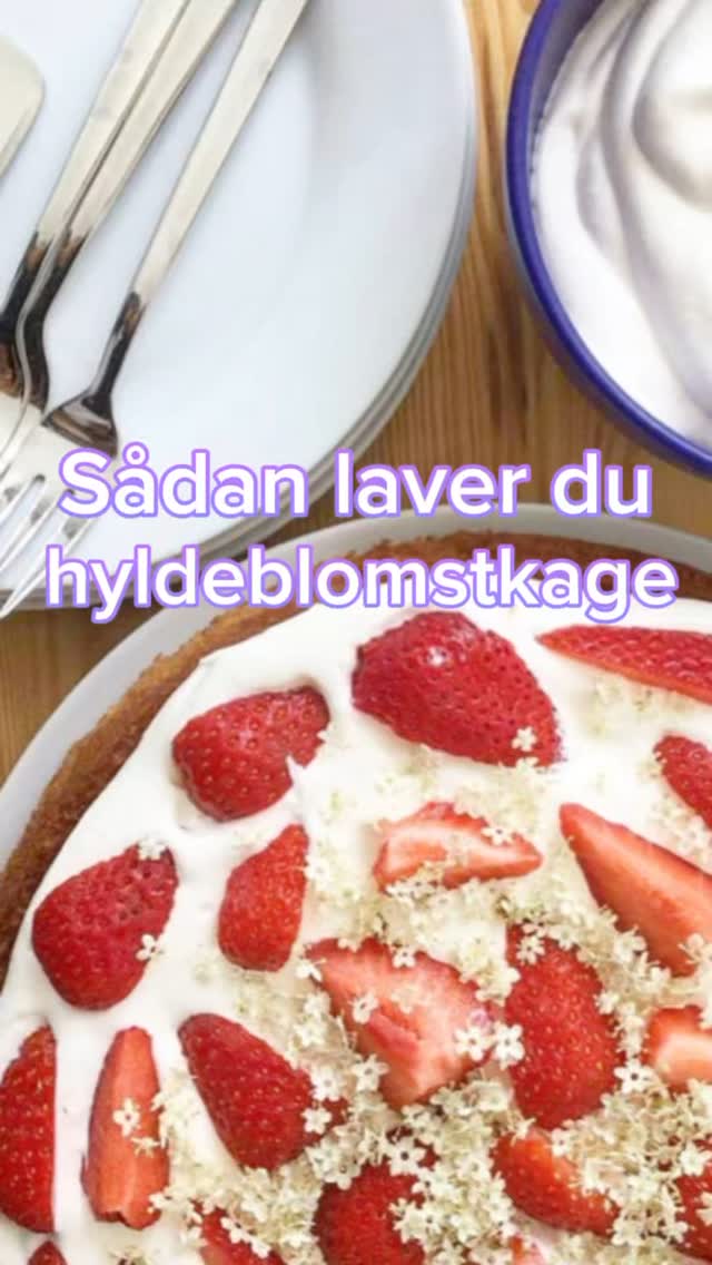 🌸 Hyldeblomstmagien fortsætter 🌸
Forleden dag fik hyldeblomstkvasset (gemt fra dengang jeg lavede hyldeblomstsaft) nyt liv i denne saftige og sommerduftende hyldeblomstkage 🍰 Sprød skorpe, svampet midte og den fineste smag af sol, sommer og blomster – intet går til spilde herhjemme 🩷

Opskriften finder du også her: momsemad.dk/?p=6623

#hyldeblomst #sommerkage #stopspildafmad #madmedomsorg #sæsonkage #hyldeblomstkage #kageglæde #momsemad